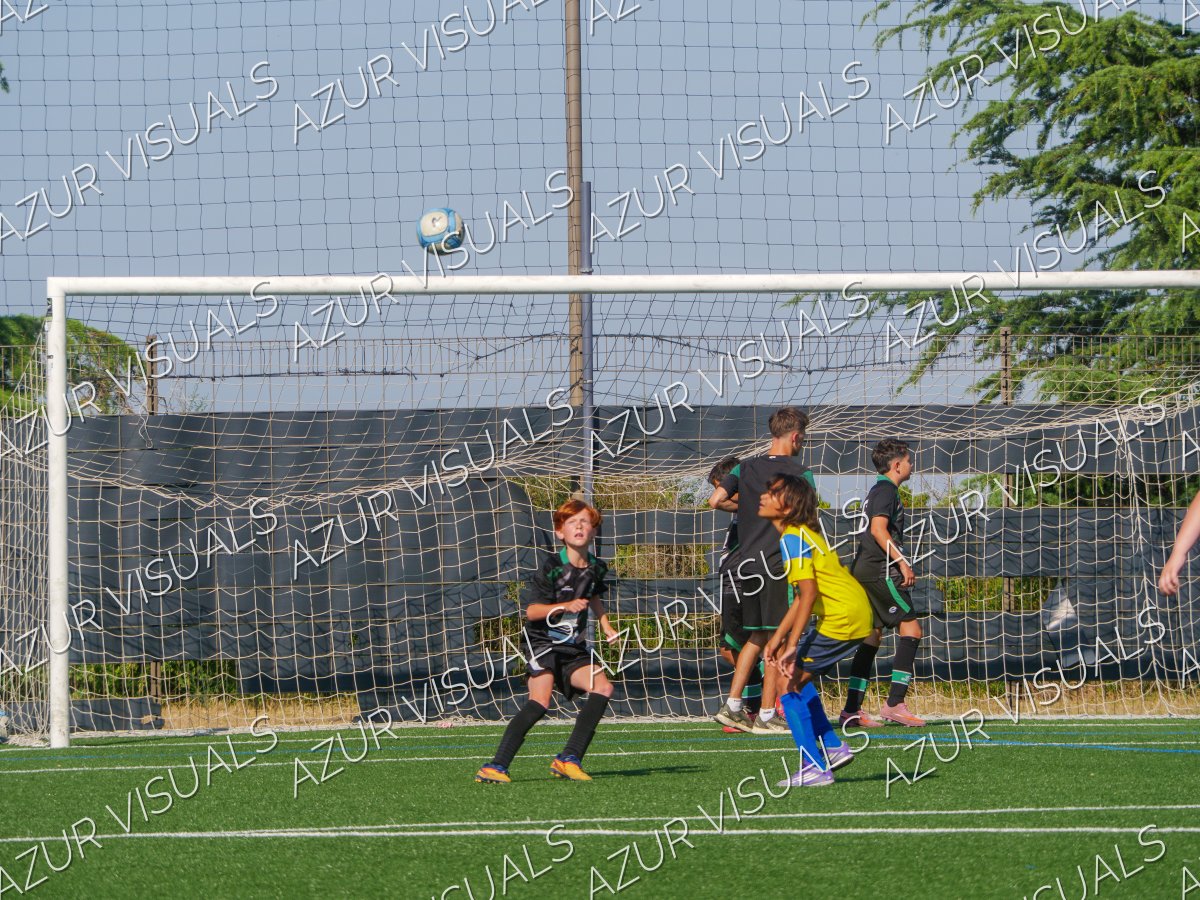 Photo 43