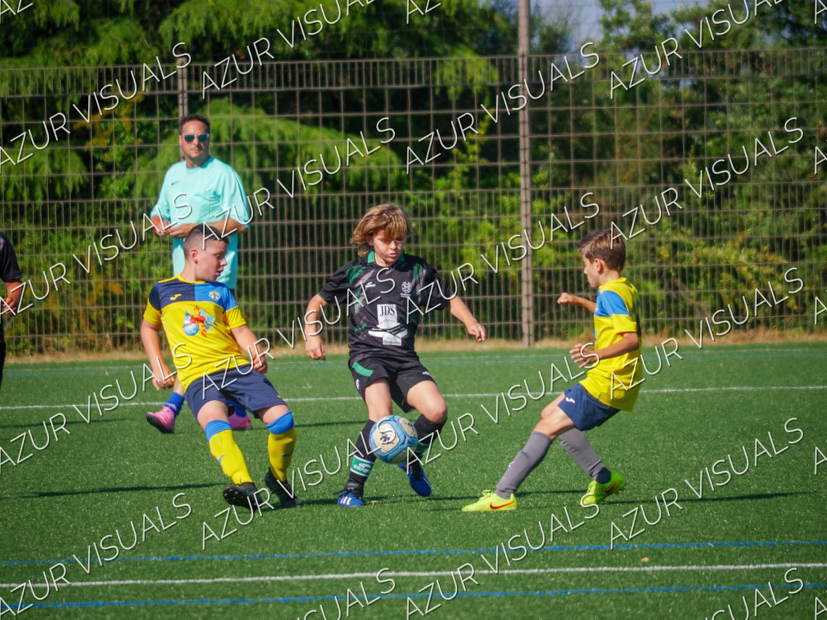 Photo 49