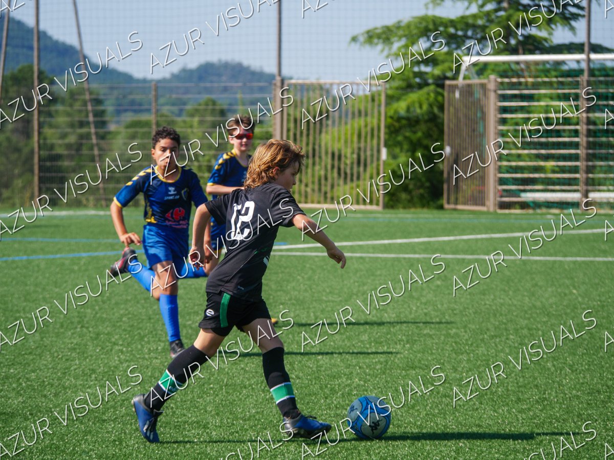 Photo 62
