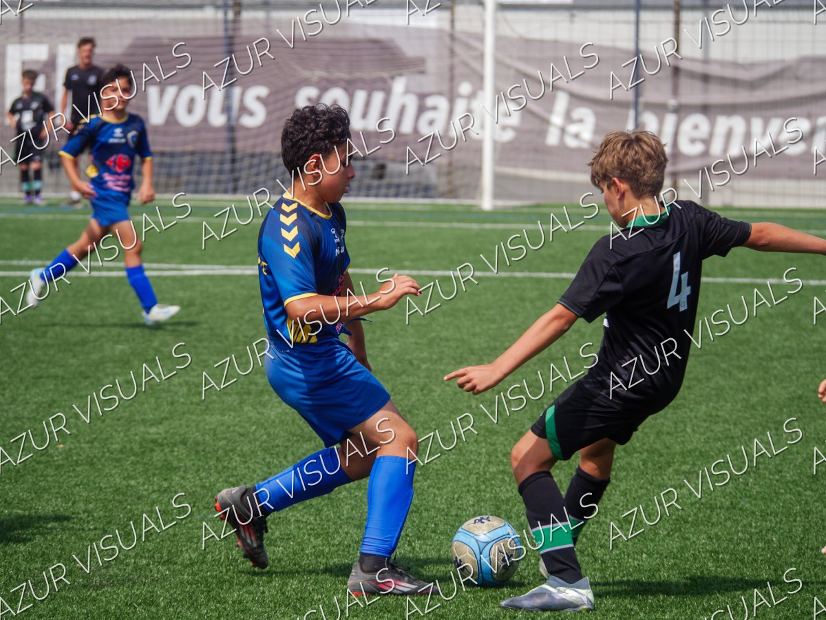 Photo 239