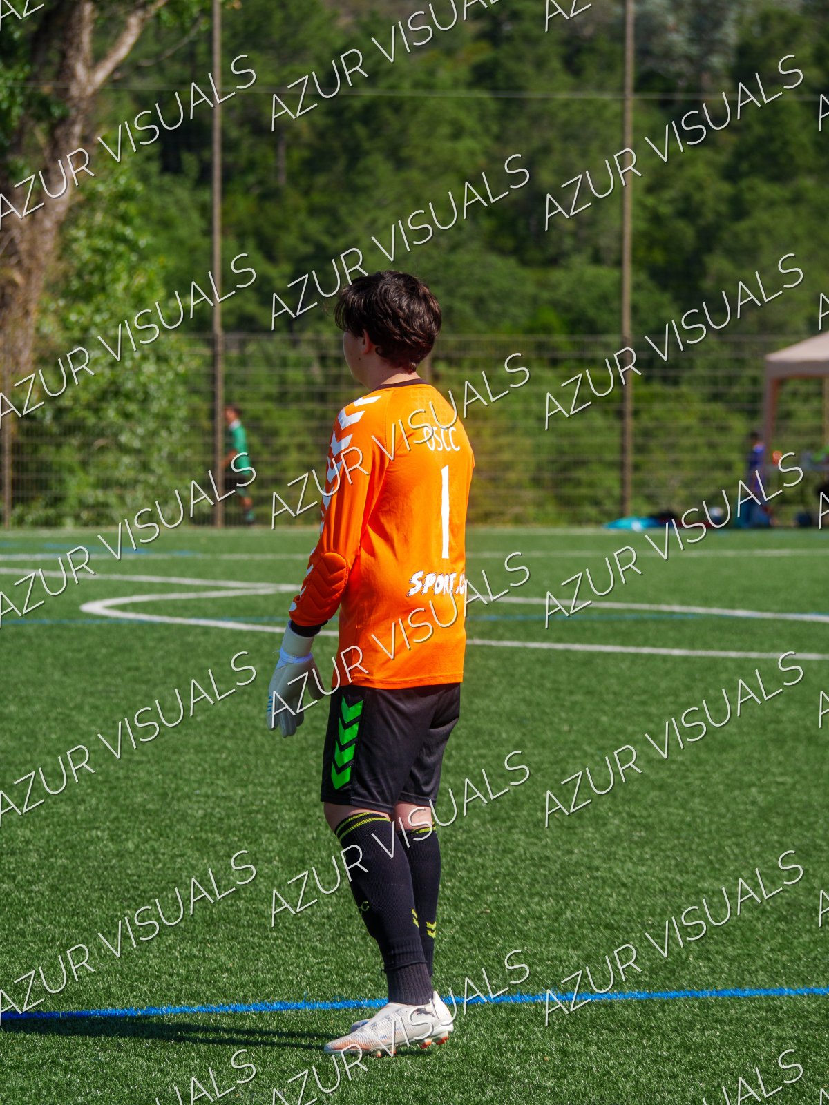 Photo 46