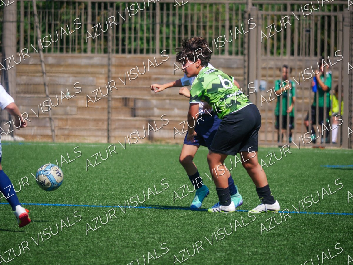 Photo 48