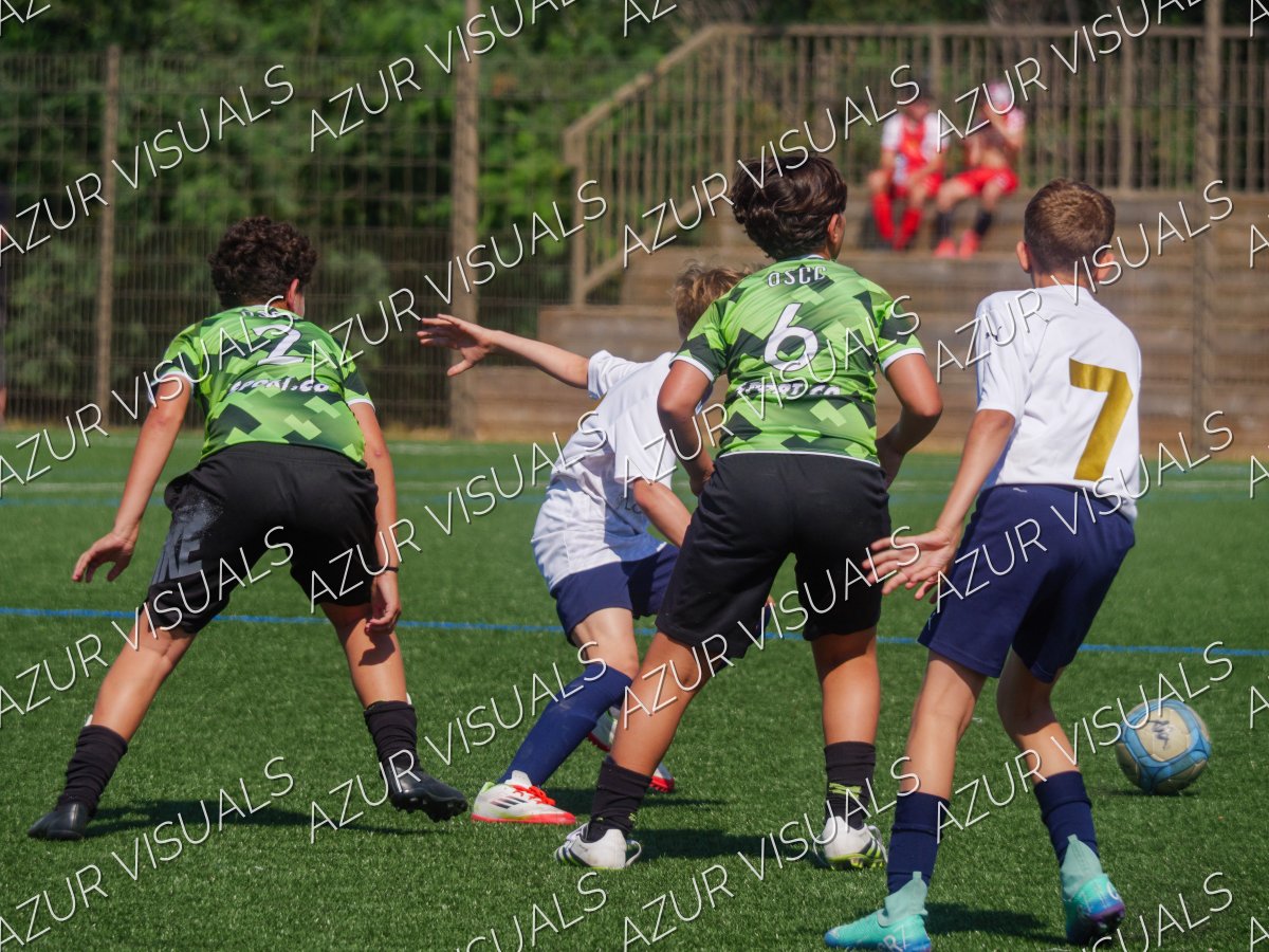 Photo 49