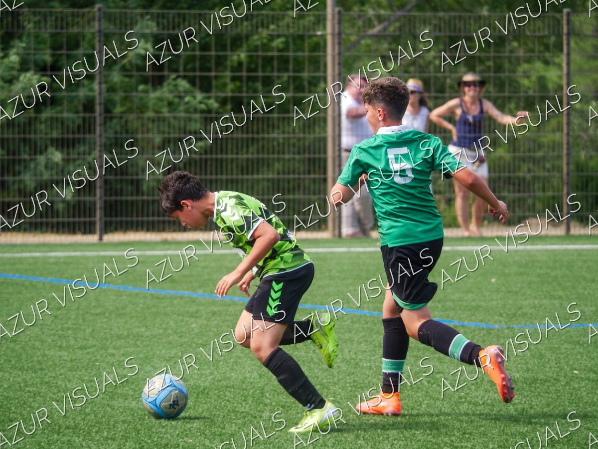 Photo 215