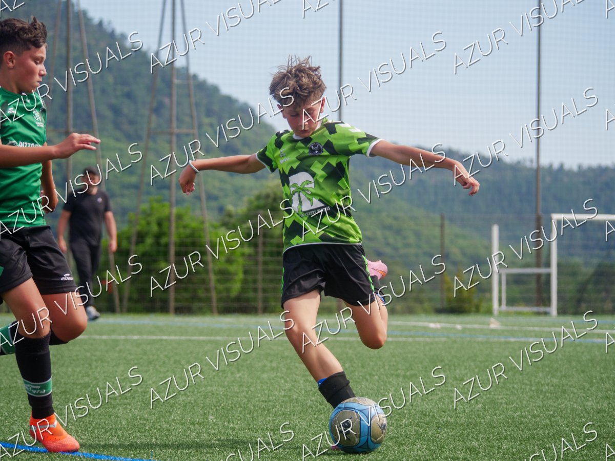 Photo 239