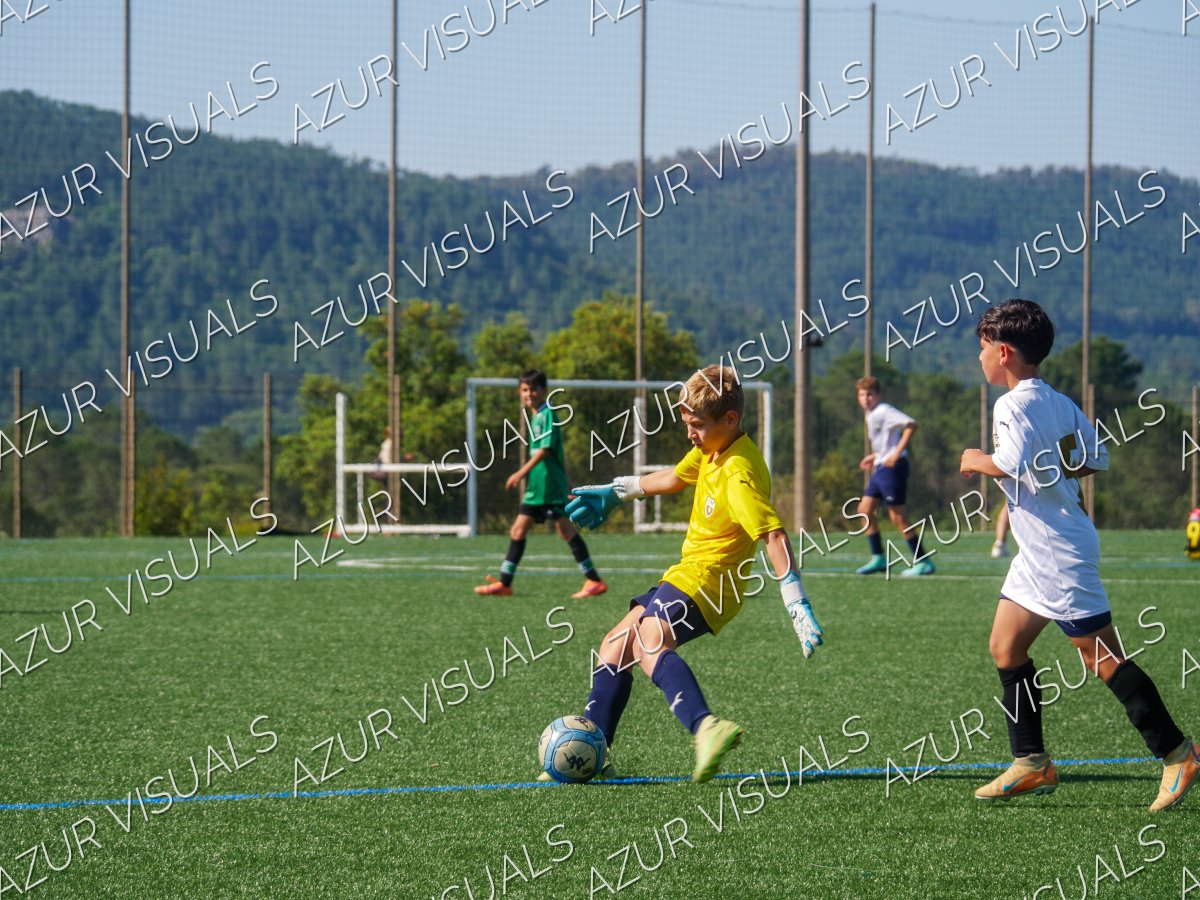 Photo 29
