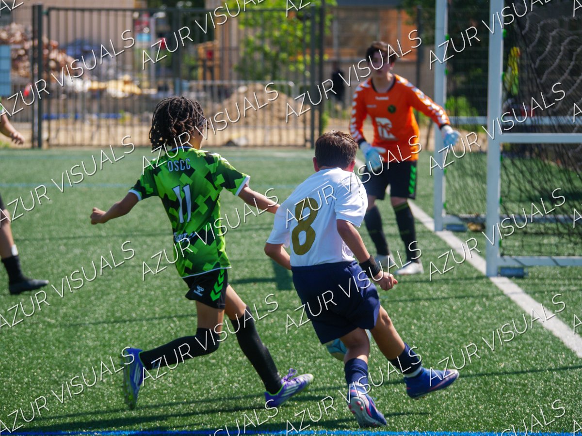 Photo 42