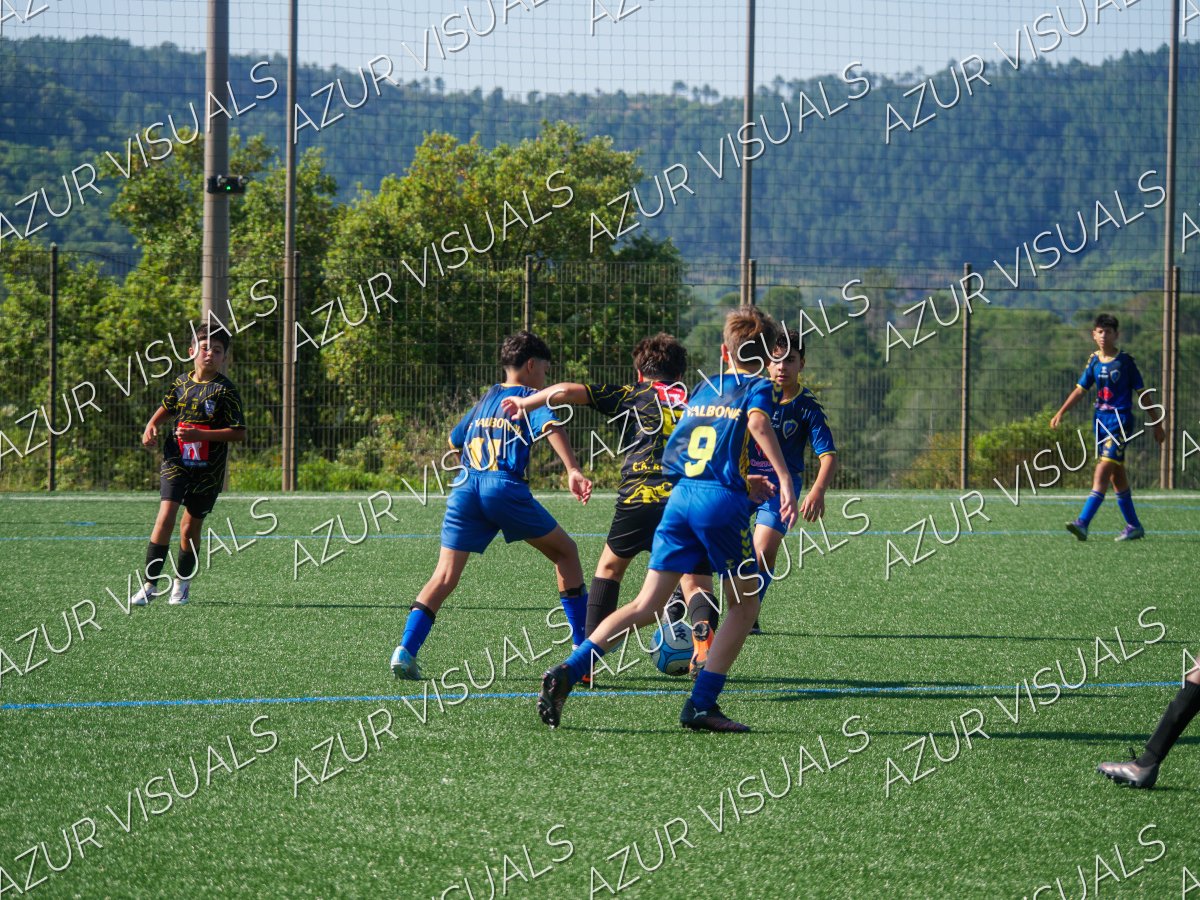 Photo 36