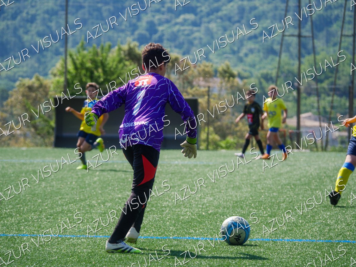 Photo 61