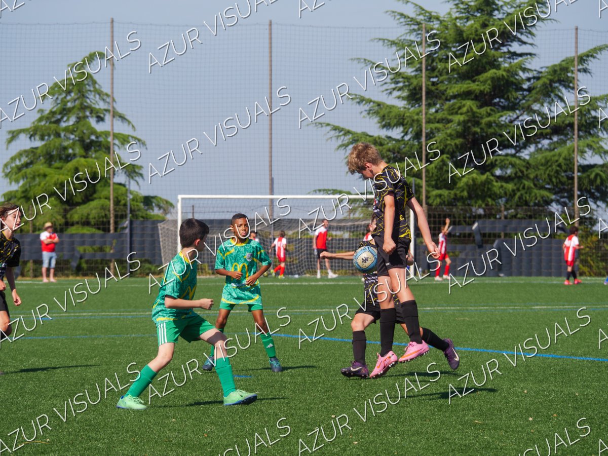 Photo 41