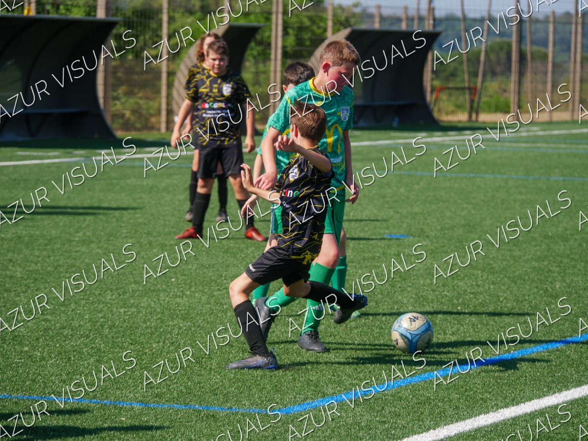 Photo 45