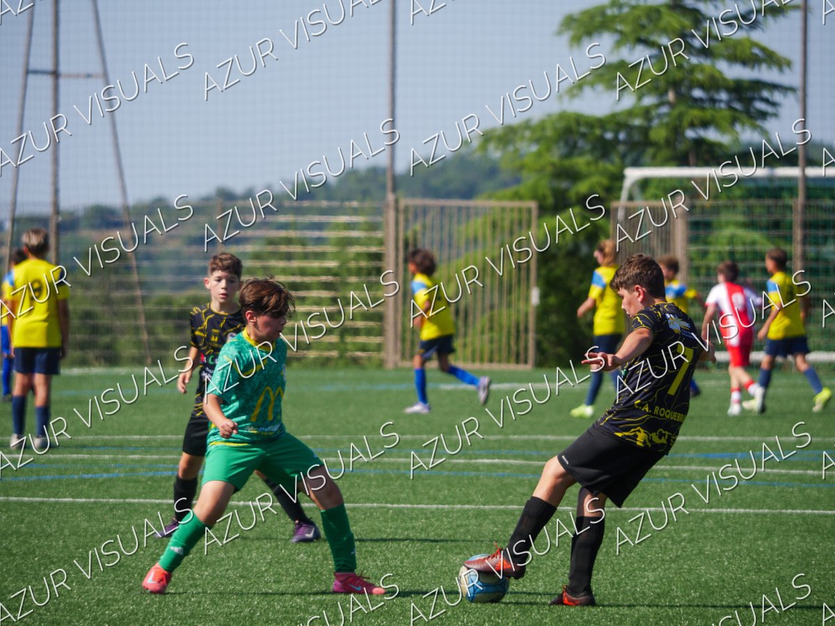 Photo 49