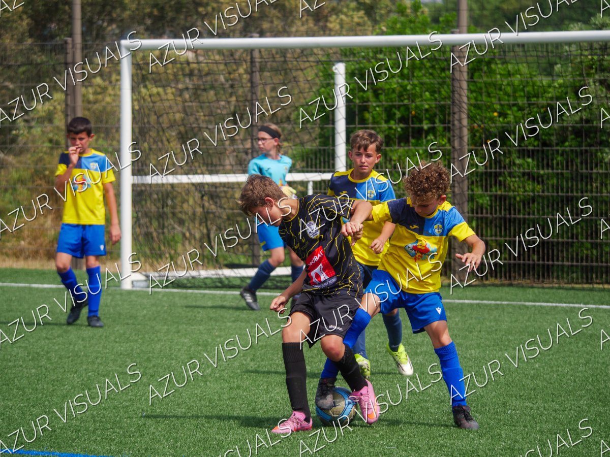 Photo 219