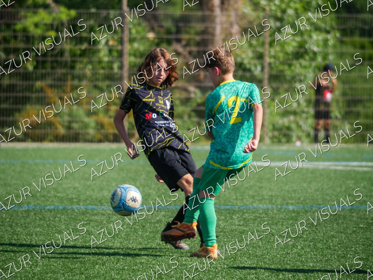 Photo 29