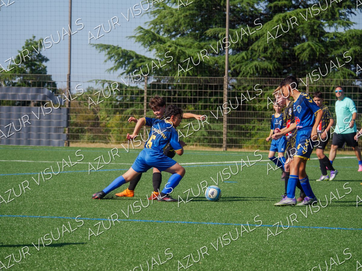Photo 11