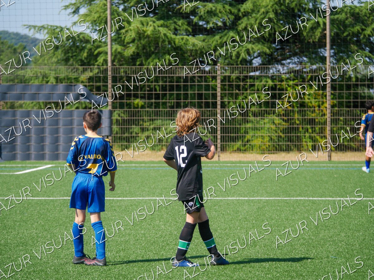 Photo 40