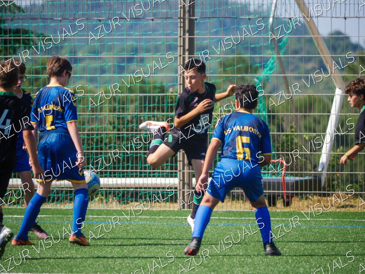 Photo 42