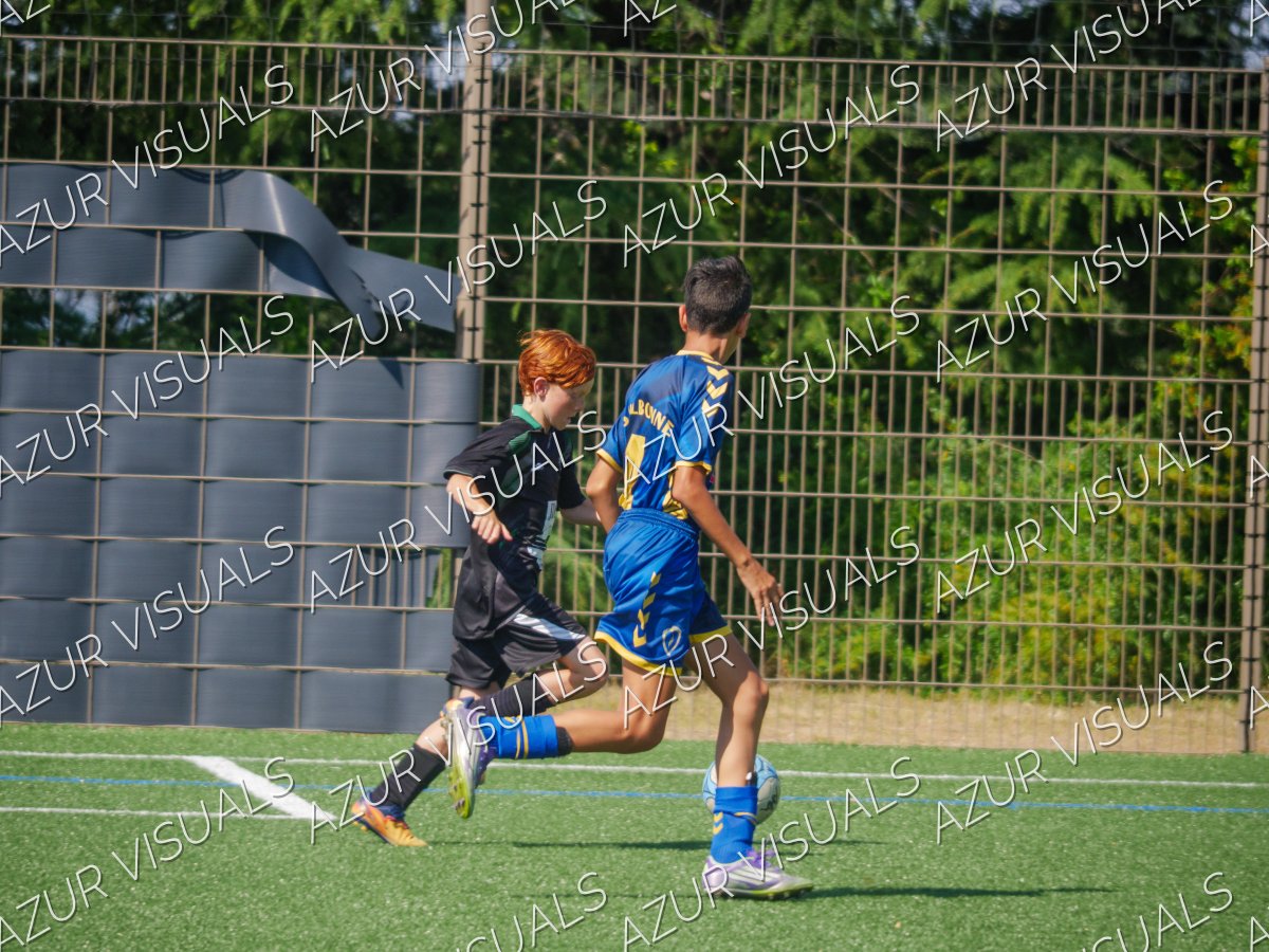 Photo 43