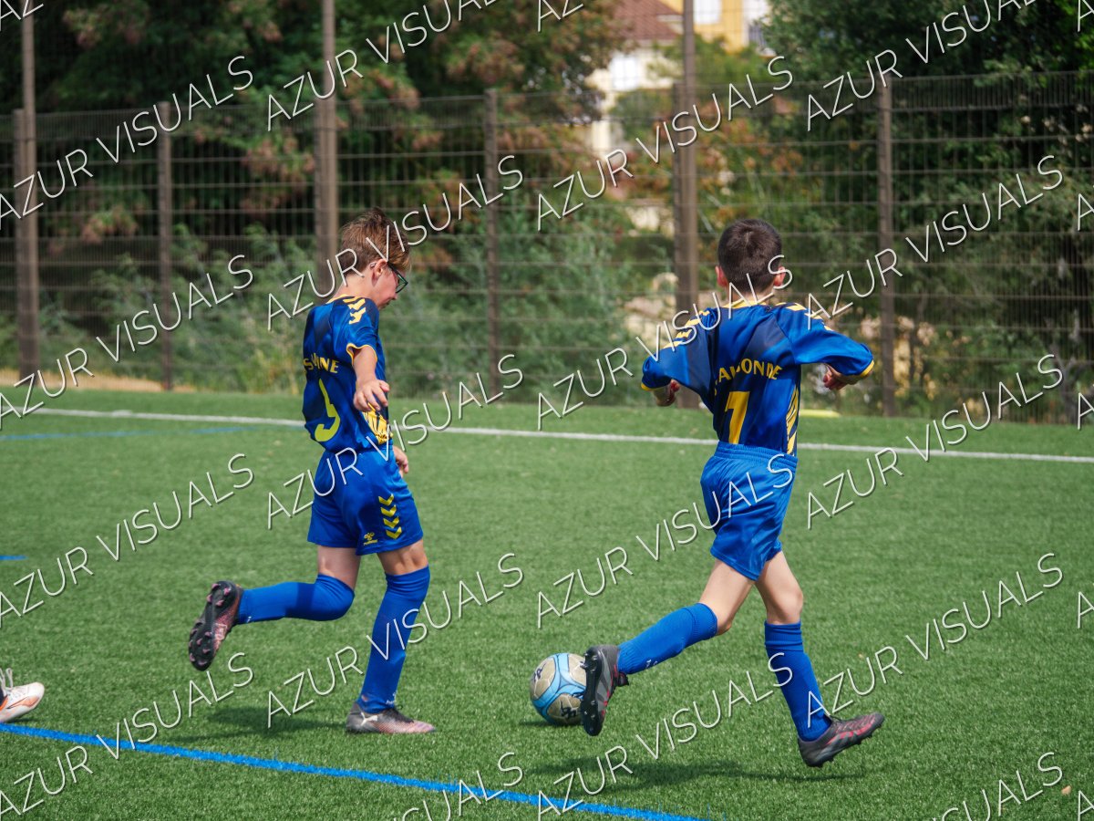 Photo 201