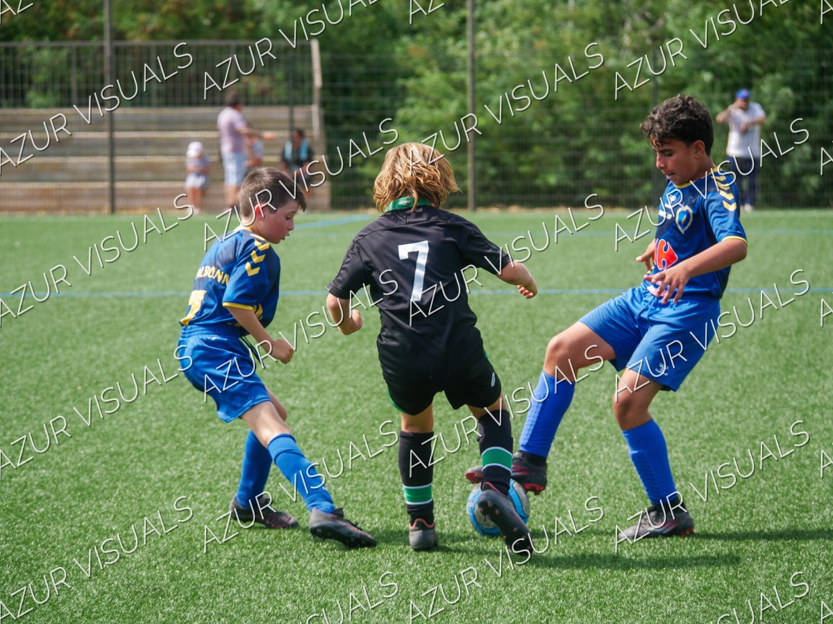 Photo 213