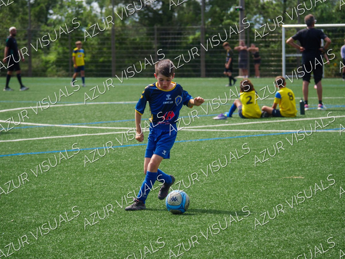 Photo 215