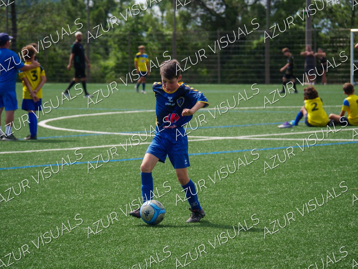 Photo 216